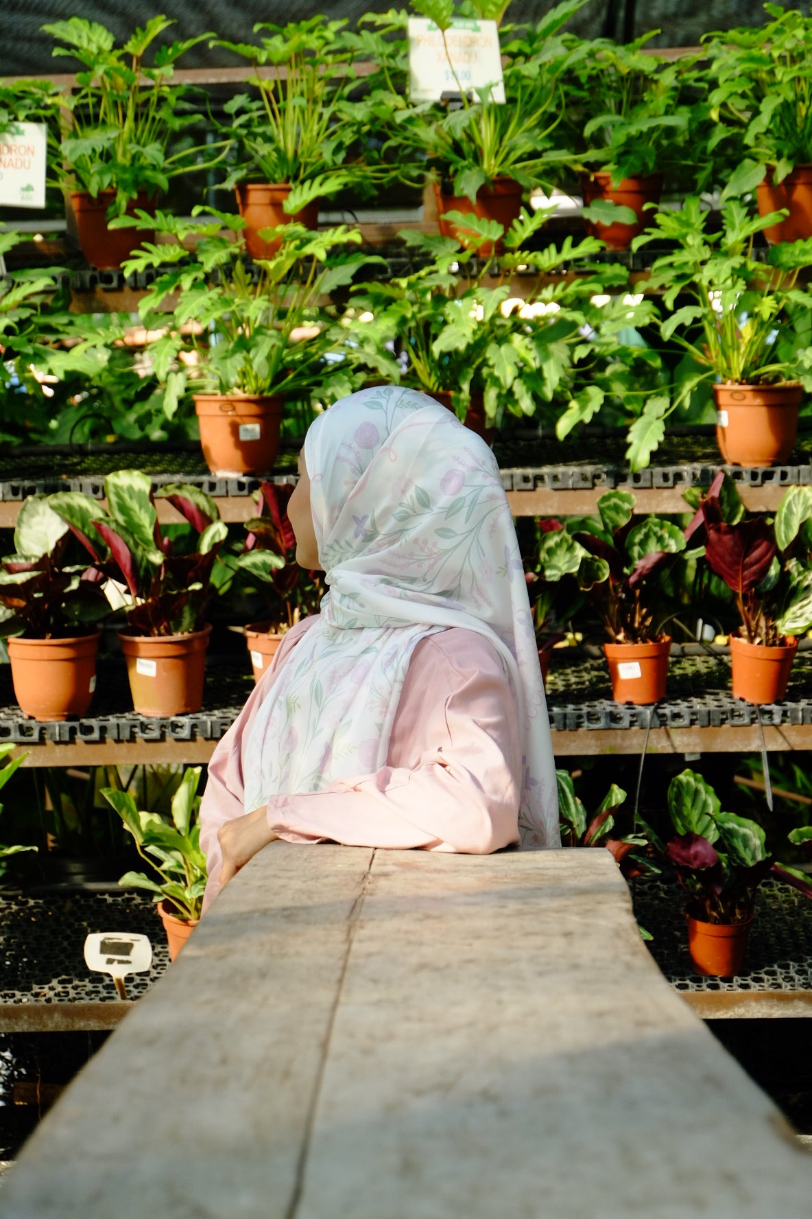 Soft Pink Symphony Shawl